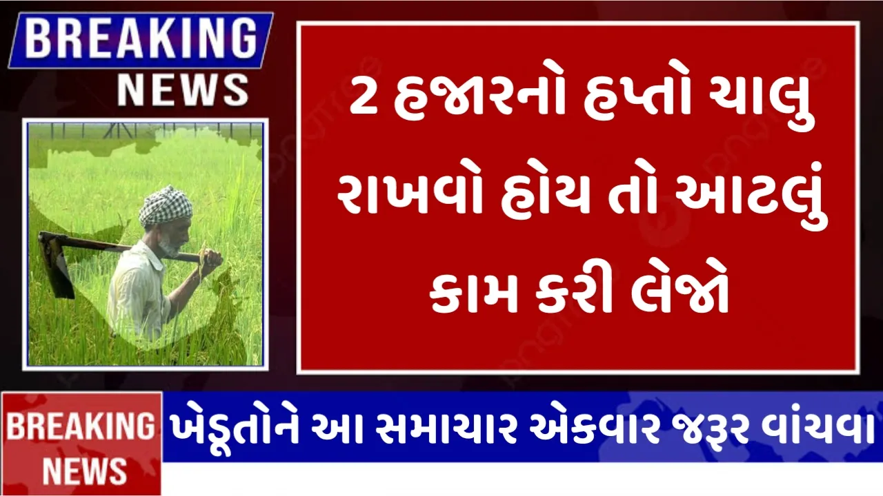 PM કિસાન સન્માન નિધિના 16માં હપ્તા માટે E-KYC ફરજીયાત,ગુજરાત સરકારે જાહેર કરી ઝૂંબેશની તારીખ