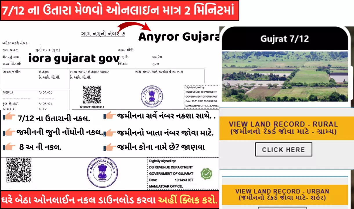 jamin-record-jova-mate-online