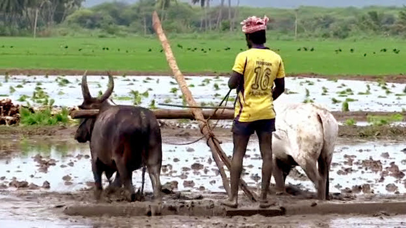 PM Kisan 17th Installment: 17મો હપ્તો કયારે આવશે? જાણો પીએમ કિસાન યોજનાની નવિ અપડેટ વિશે ખેડૂતો અહીં જાણી શકશે