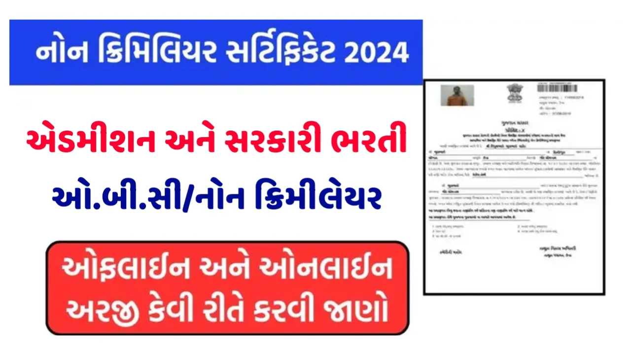 Non Criminal Certificate 2024: નોન ક્રિમીનલ સર્ટિફિકેટ 2024 કેવી રીતે કાઢવું, જાણો આખી અરજી પ્રક્રિયા