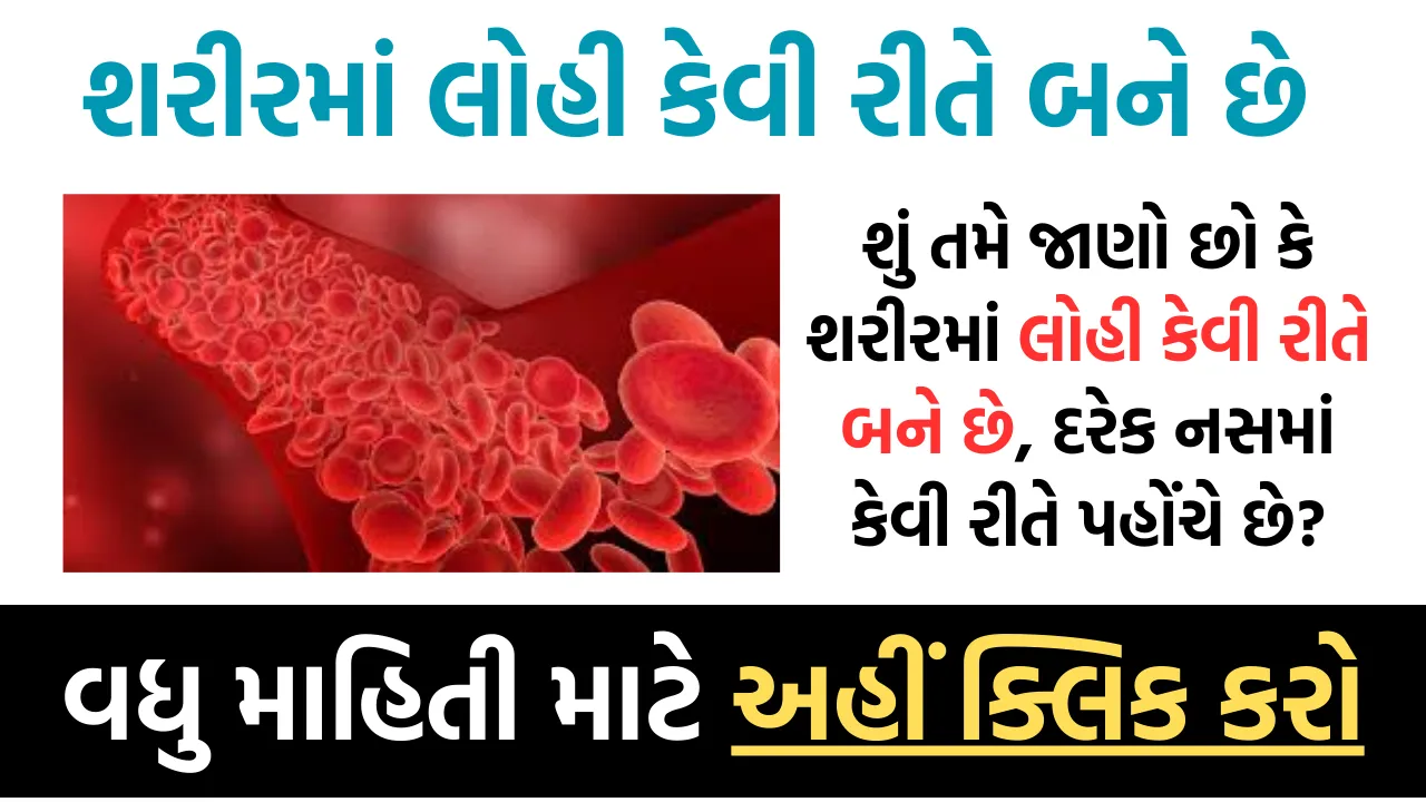 શું તમે જાણો છો કે શરીરમાં લોહી કેવી રીતે બને છે, દરેક નસમાં કેવી રીતે પહોંચે છે?