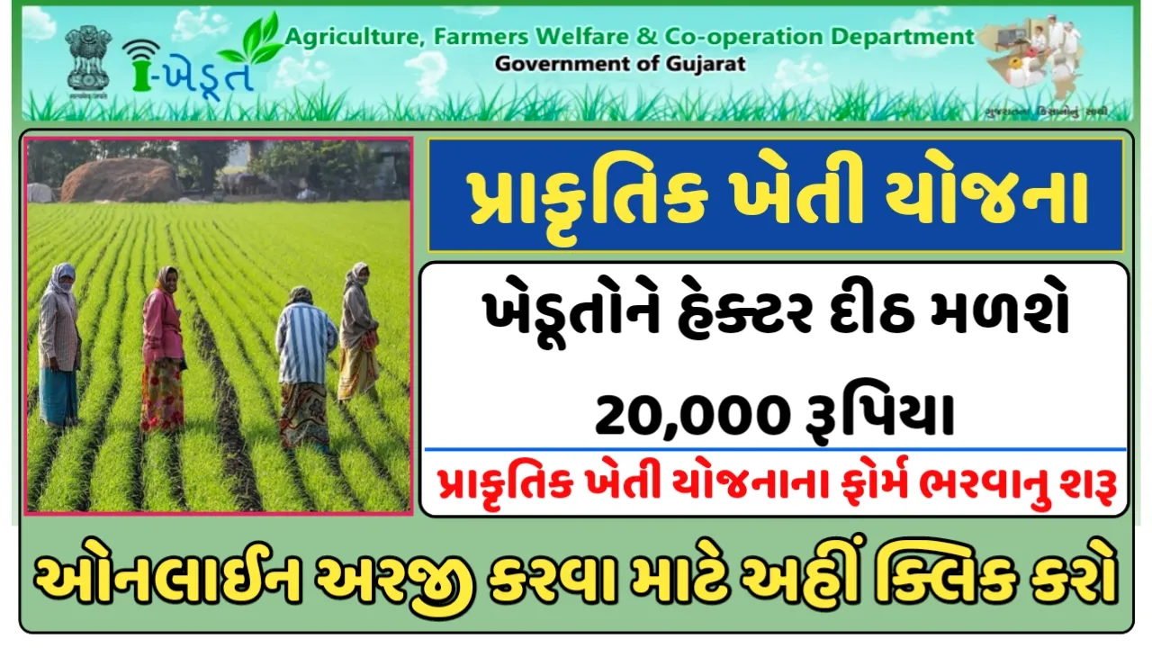 પ્રાકૃતિક ખેતી યોજના 2024: પ્રાકૃતિક ખેતી યોજનાની ફોર્મ ભરવાનું શરૂ,જાણો યોજનાની સહાય અને વિશેષ જોગવાઈઓ