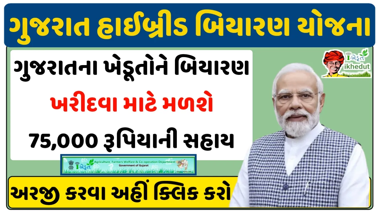 Hybrid Biyaran Yojana 2024:ગુજરાત ના ખેડૂતોને હાઈબ્રિડ બિયારણ ખરીદવા માટે 75 હજારની સહાય
