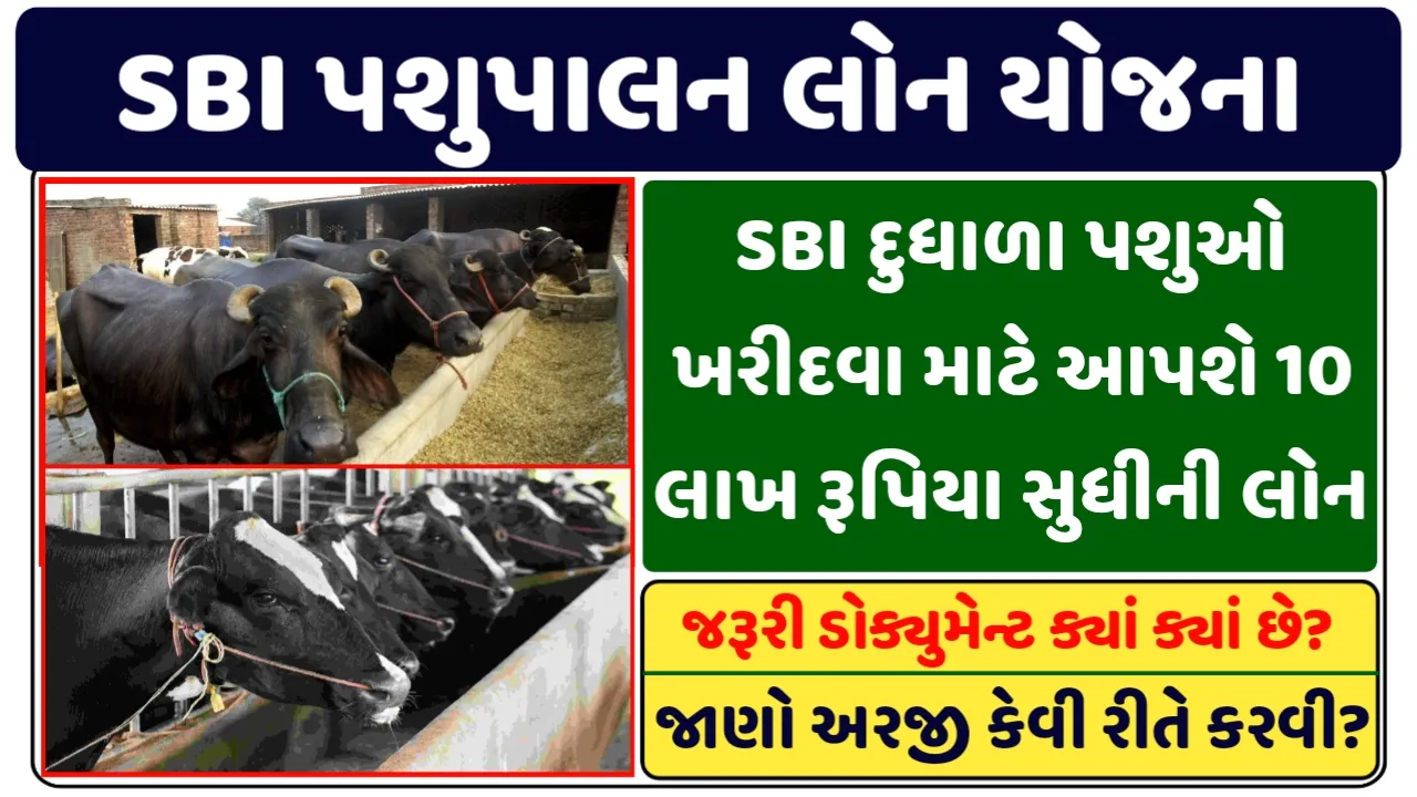 SBI Pashupalan Loan Scheme: SBI દૂધાળા પશુઓ ખરીદવા માટે આપશે1 થી 10 લાખ રૂપિયાની લોન