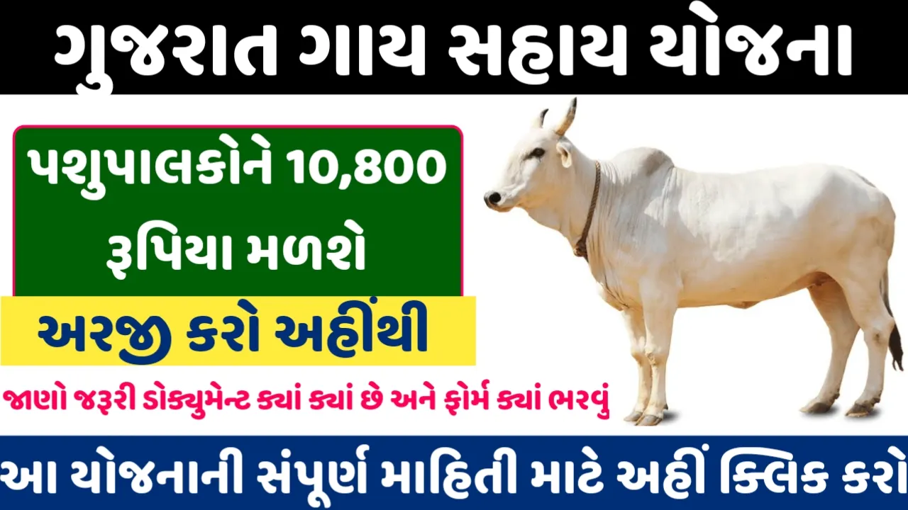 Gay Sahay Yojana Gujarat 2024 : Cattle farmer will get ₹10,800 per annum