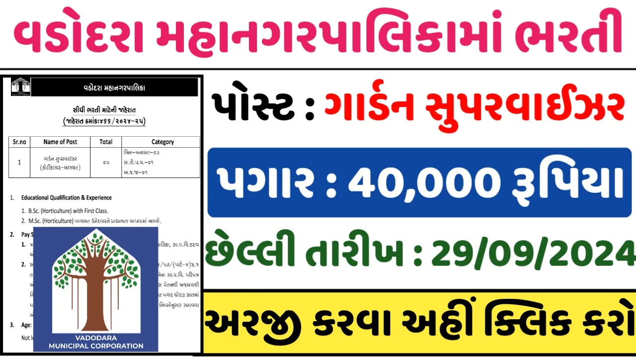 Vadodara Municipal Corporation Recruitment 2024