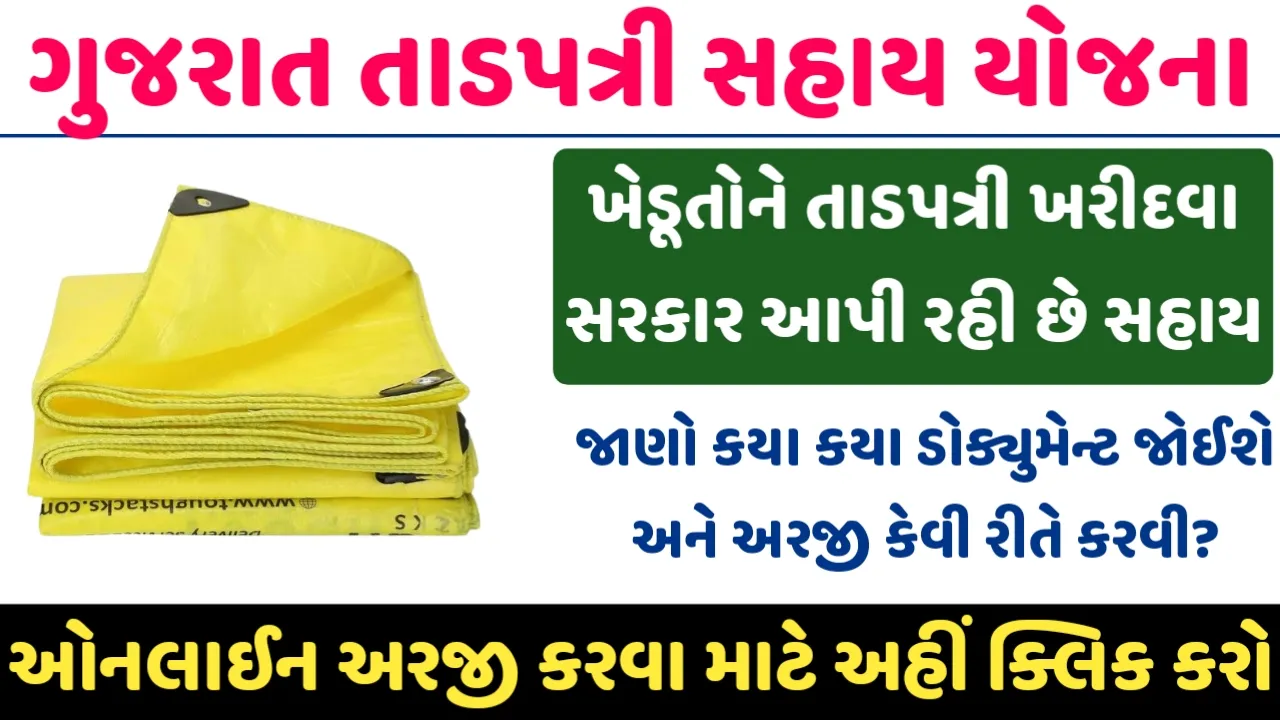 Gujarat Tadpatri Sahay Yojana 2024